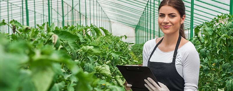 Agricultural_Processing_01